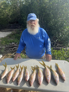 Yellow Tail Haul In Florida Keys 